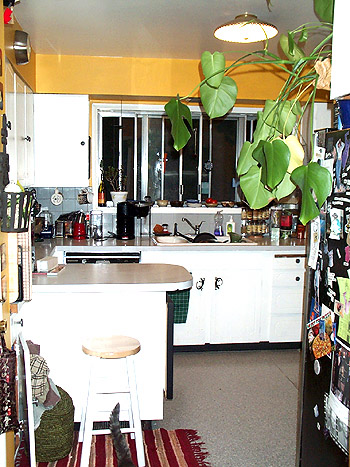 new kitchen