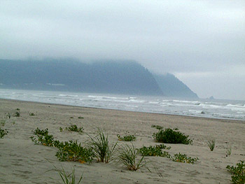 Gearhart Coast