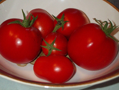 Tomatoes!
