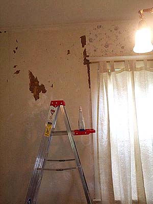 stripping wallpaper