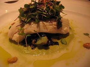 halibut