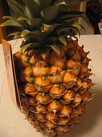 pineapple