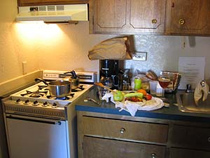 Hotel Room Cooking Stuffed Chicken With A Garlic Orange