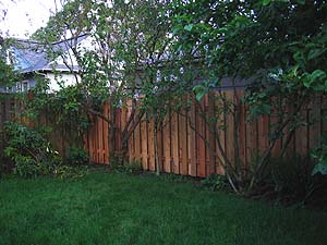 back fence