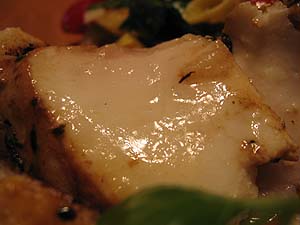 halibut2