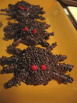 Chocolate Spider Cookies for Halloween