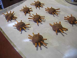 Chocolate Spider Cookies for Halloween