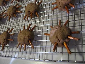 Chocolate Spider Cookies for Halloween