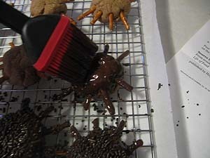 Chocolate Spider Cookies for Halloween