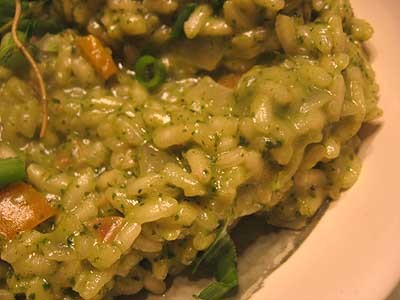 herb risotto
