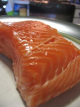 salmon