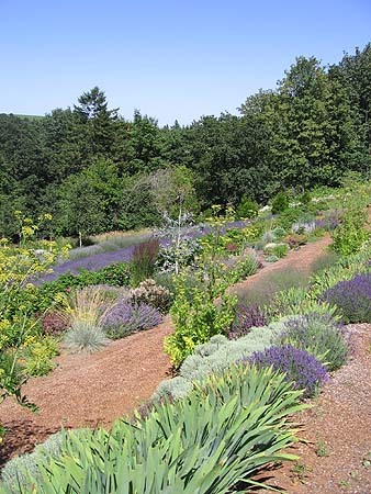 red ridge farms