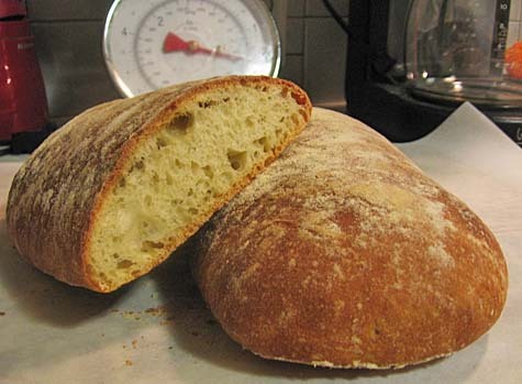 ciabatta