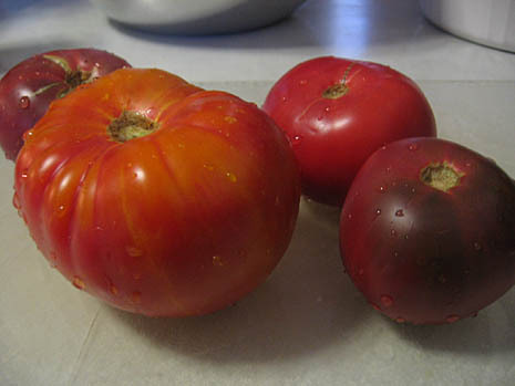 bread & tomato salad