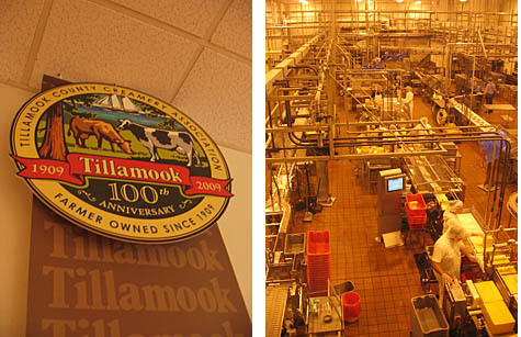 tillamook cheese